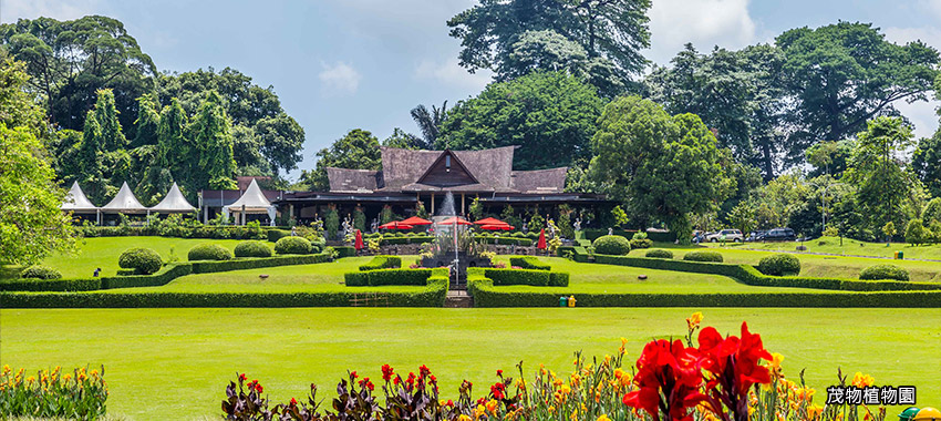 茂物植物園Kebun Raya Bogor